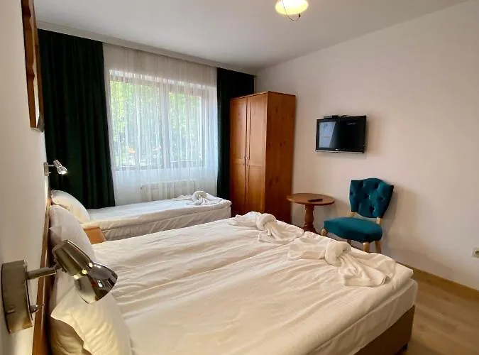 호텔 Edelweiss 반스코