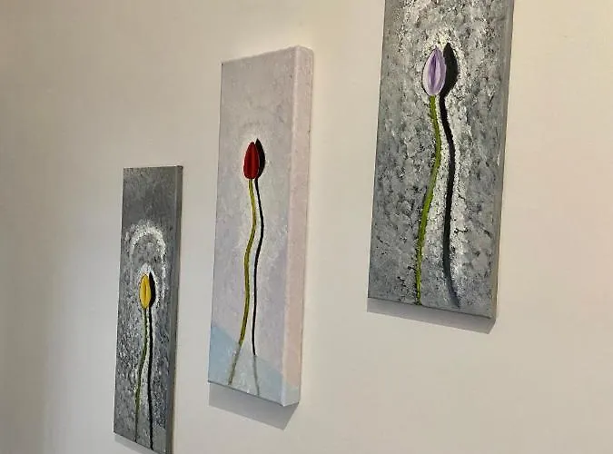 Edelweiss 3* 반스코